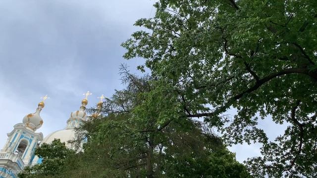 Красивые деревья, небо и храм!