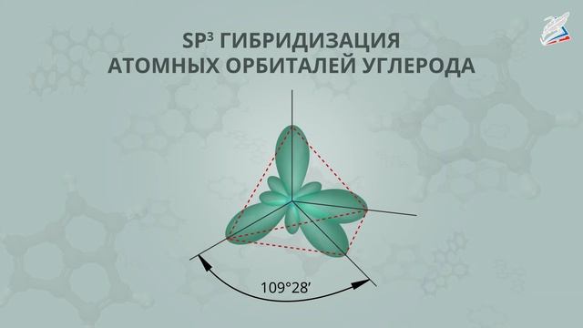 Предельные углеводороды — алканы
