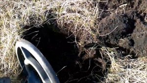 Монеты и пуговицы на заброшенном поле