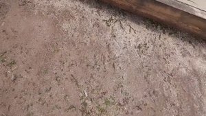 строительство хозблока 6×4