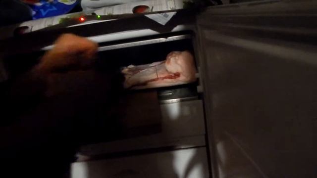 разморозка холодильника