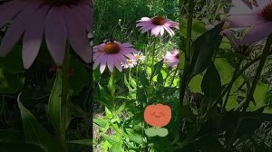 Атмосфера дачи ?☘️природа ??мои каникулы