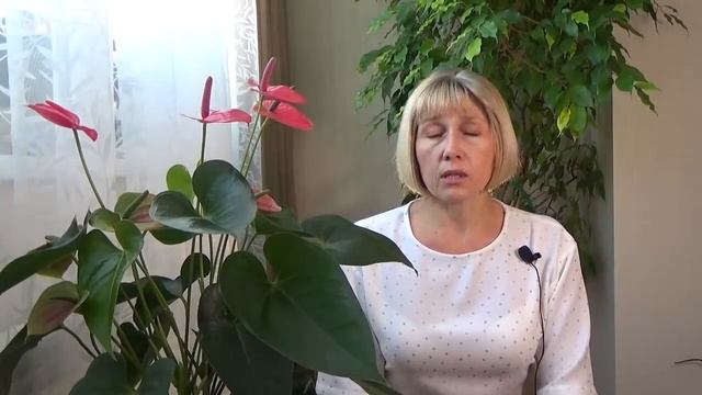 Весенняя обработка сада. Защита от болезней, вредителей, заморозков