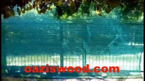 Сетка затеняющая 85%, защитная, маскировочная на заборе видео отзыв от Владимира г. Днепр