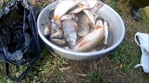 Рыбачим сетями на реке. 3 рыбалки в одном видео.