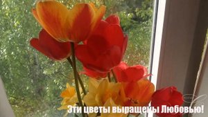 С днем рождения, Люба!
