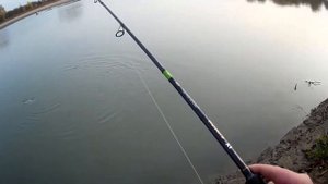 Ловля ЖЕРЕХА осенью на Kastmaster и муху