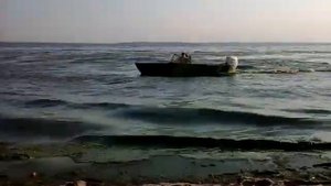 Прогресс 4  Сузуки 70 л.с.