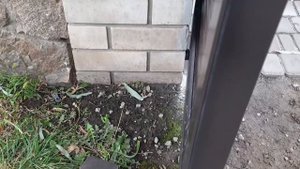 ? Установили КАЛИТКУ из 77 РОЛЛЕТНОГО ПРОФИЛЯ.
