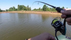 Напарник в шоке - 3 или 5 дюймов? Какой размер приманки лучше при ловле судака с лодки на джиг.