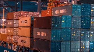 АЗИАТСКИЕ ТИГРЫ