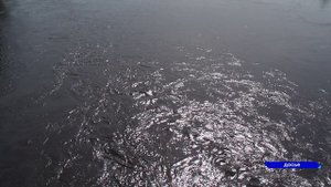 Предварительные итоги реализации проекта «Оздоровление Волги» обсудили в нижегородском кремле