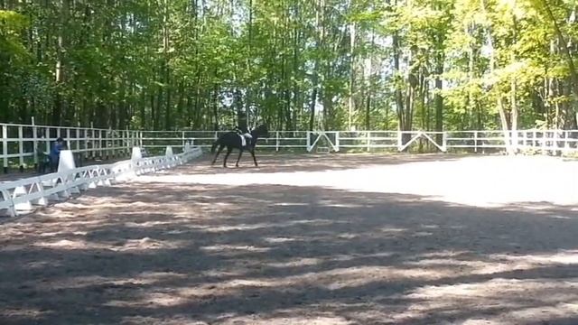 КСК "4 Сезона" смотреть онлайн