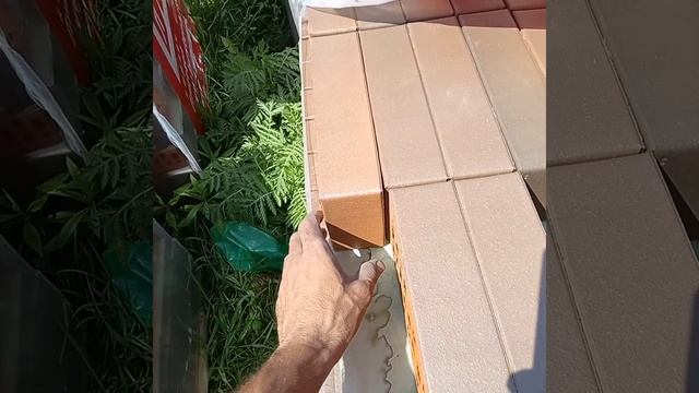 11 июля 2022 г. смотреть онлайн