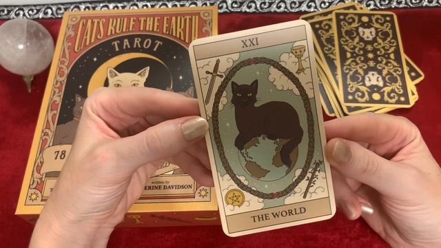 Новинка!! “Cats rule the Earth “ Tarot ?⬛??⬛Обзор колоды Таро «Кошки правят миром»