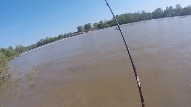 Hunchback of Notre-Carp - Devola Dam смотреть онлайн