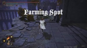 Elden Ring Epic Female Armor ! Elden Ring Nox Swordstress Armor Location + Showcase 60 FPS !