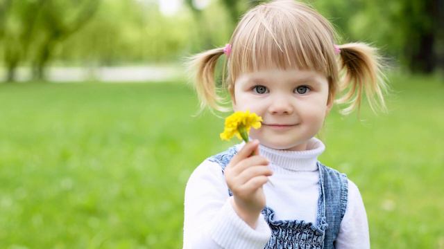 Поздравляем молодых, 2020 новая песня смотреть онлайн