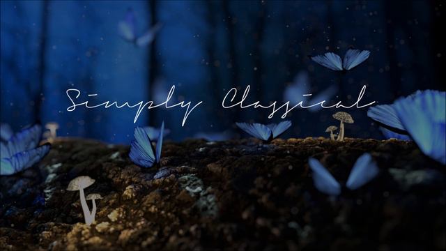 The Fantastic Works Of Bach - Vol 6 HQ