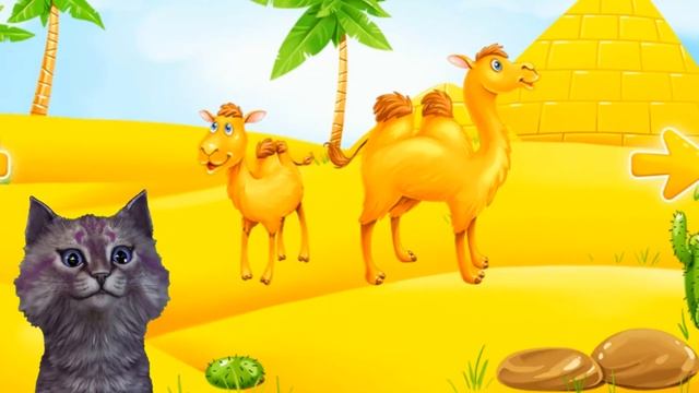 Кошечка Лика Какие животные живут в Пустыне? Как зовут малышей животных? смотреть онлайн