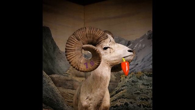 Зодиакальные Овны: их талисманы, счастливые знаки смотреть онлайн