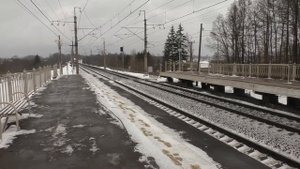 Самый быстрый поезд России. Сапсаны и Ласточки на высокоскоростном участке Стреглово-Клин.
