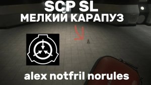 ЗАШЁЛ ПОИГРАТЬ В SCP SL