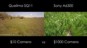 $10 vs $1000 Kamera - 10 Dolara Kamera mı olurmuş :P Quelima SQ11 vs Sony A6300 İnceleme