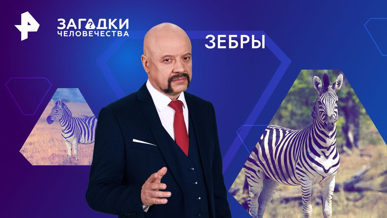 Зебры  Загадки человечества с Олегом Шишкиным (15.02.2024)