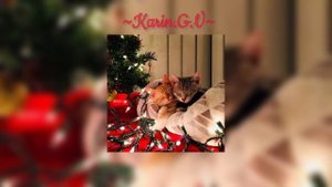 ~Bobby Helms – Jingle Bells Rock~speed up~
