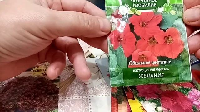 Обзор семян цветов на сезон 2022. Всходы Эустомы и Экзакума.