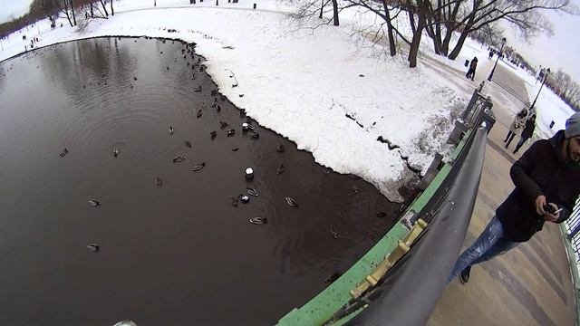 Царицыно 2017