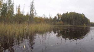 Спиннинговая рыбалка. Озеро Чёрное.22.09.2023. Рыба не ловится. Тихий день.