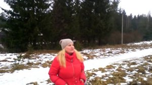 ДНП  " Мельничный  ручей"  Всеволожск