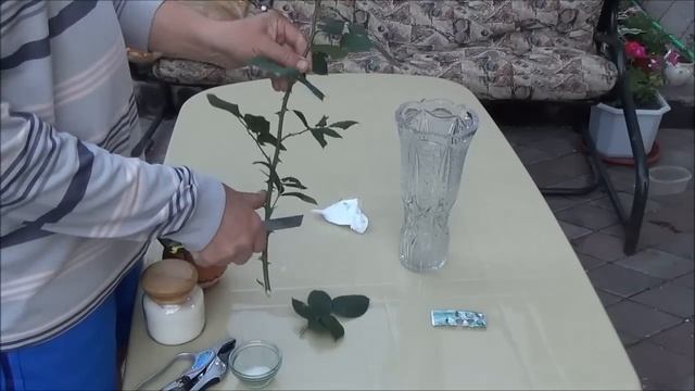 Как сохранить розы в вазе дольше.