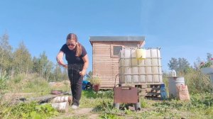 На даче/собираю помидоры и любуюсь цветами)30.08.24