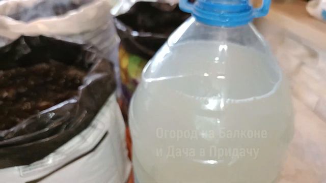 Просто Полейте ЭТИМ Почву, и Земля Снова Плодородная, Обильные Урожаи Круглый Год. Огород на Балкон