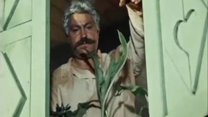 белое солнце пустыни заходи