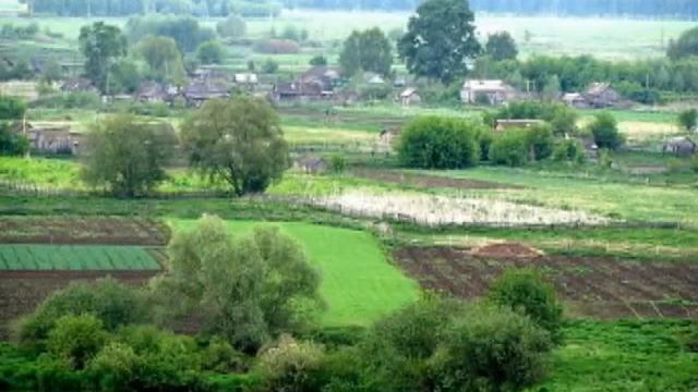 Берёзовые сны М Воскресенский ст В Вальков смотреть онлайн