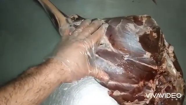 Косуля (нога) горячего копчения! ? смотреть онлайн