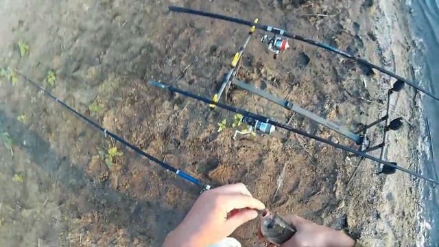 Ловля карася донкой на горох. Убийца карася в пролёте. Часть 2 смотреть онлайн