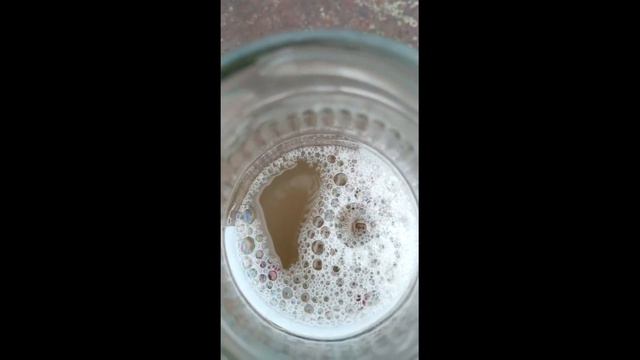 Айва обыкновенная - руководство по выращиванию смотреть онлайн