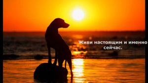 Пути в полях Господних