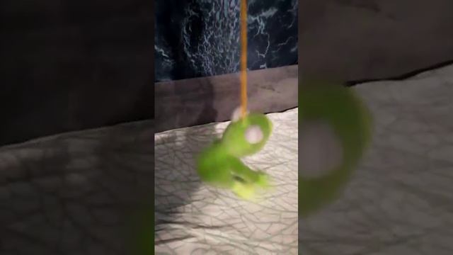 Лягушонок танцует (кривой эфир)