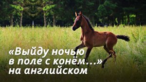 «Выйду ночью в поле с конём» со словами неизвестного автора по-английски