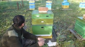 стоитли закрывать сетчатое дно в зиму