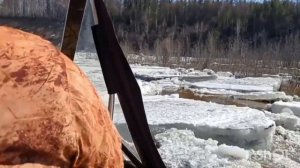 Аэролодка "Берег-520" ледоход в речке Дэли в Сунтарском районе Республика Саха Якутия