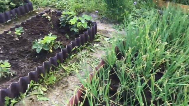 Приехали на дачу смотреть онлайн