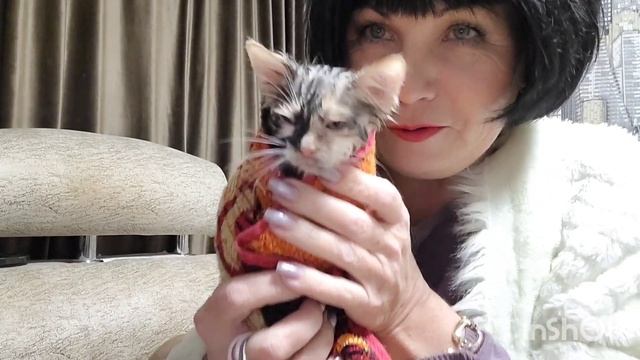 Не было у бабы забот?по пятам ходит за мной? смотреть онлайн