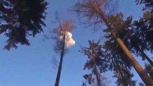 Топ самых больших и мощных петард!!!!! (Подборка)